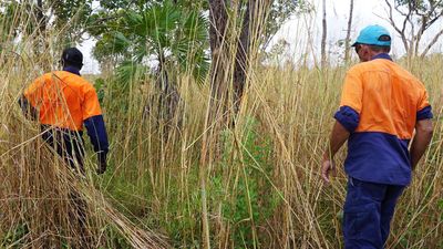 First Nations wisdom harnessed to protect environment