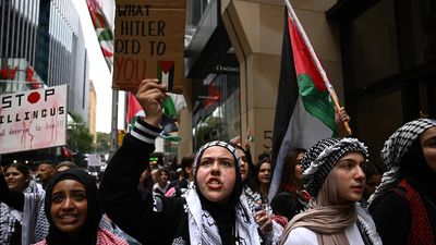 'Get educated': students strike to support Palestinians