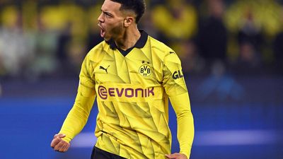Dortmund's Nmecha ruled out until 2024 with injury