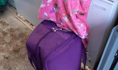 Horrified children find dead dog in suitcase in Scottish town
