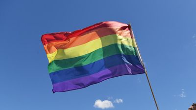 Gay conversion law delay to allow for 'careful' reform