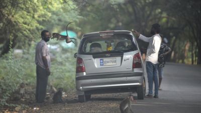 Man vs. wild in burgeoning Bengaluru