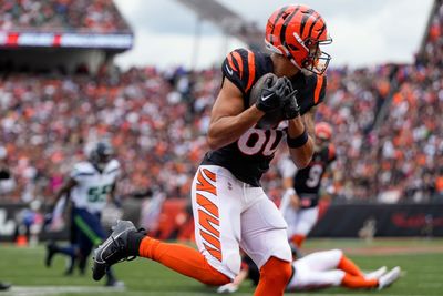Bengals get healthier on second injury report ahead of game vs. Steelers