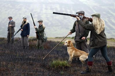 Top charity calls for grouse shooting licences as golden eagles 'disappear'