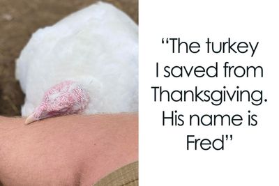 50 People Who Were Pleasantly Surprised With A Wholesome Thanksgiving And Just Had To Share