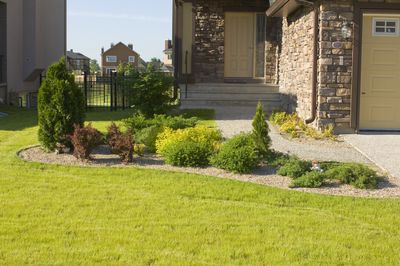 Liming your lawn could be the answer to luscious grass come spring - here's when and how to do it