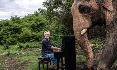 Experience: I play piano for rescued elephants