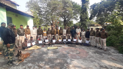 Madhya Pradesh: Villagers poached tiger for 'magical' whiskers; 11 held