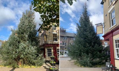 Fir flies over Cambridgeshire town’s wonky Christmas tree