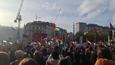 March for Palestine: When and where is the protest taking place in London this weekend?