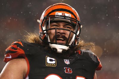 Domata Peko is Bengals’ Ruler of the Jungle vs. Steelers