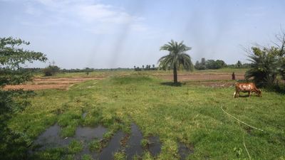 T.N. to acquire 3,774.01 acres of patta lands for Parandur airport