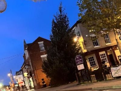 Row over Cambridgeshire’s wonky Christmas tree ‘like the Tower of Pisa’