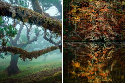 50 Photos Of Mother Earth From This Online Page That Prove Nature Is Lit