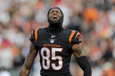 Bengals news: Tee Higgins update, considering a possible free-agent add and more