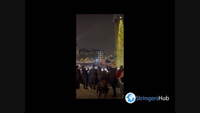 Trafalgar Square Christmas tree begins its annual journey from Norway