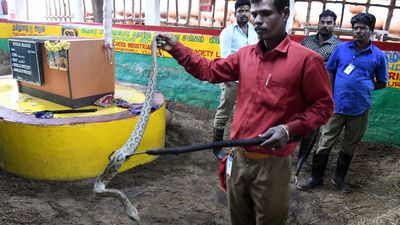 Slip sliding away: venom extraction in Tamil Nadu