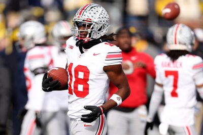 Marvin Harrison Jr. makes dazzling catch while Michigan DB interferes with him
