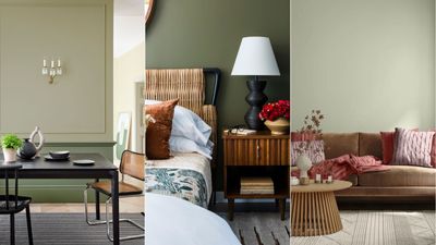 6 best sage green paints that interior designers swear by