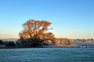 ‘Very chilly’ on Sunday after overnight temperatures fall below zero