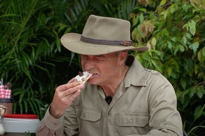 I’m a Celebrity: ITV boss ‘mocks Nigel Farage’ at event despite politician’s reported £1.5m fee