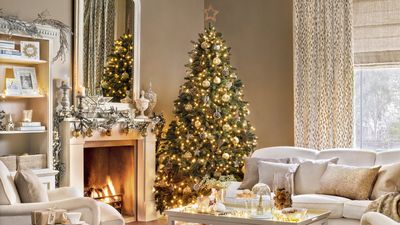 Best Christmas tree varieties – 12 real tree options for your home