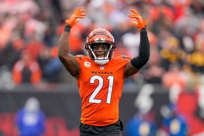 Best reactions after Bengals fall to Steelers in Week 12