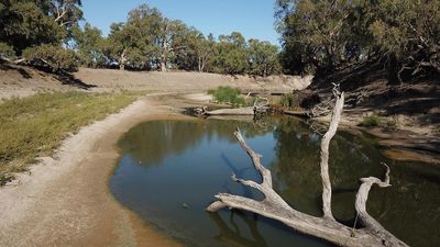 Murray-Darling Basin plan to remain afloat under deal