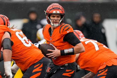 Defensive woes and top takeaways after Bengals lose to Steelers in Week 12