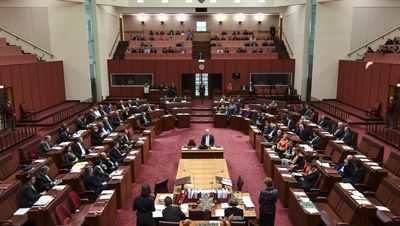 Election probe calls for more politicians in Canberra