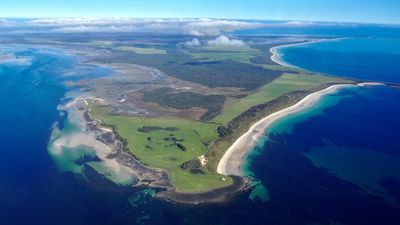 Win for island wind farm despite rare parrot concerns