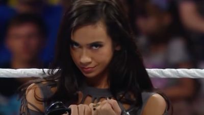 After CM Punk's Return To WWE, Superstars Want AJ Lee To Join Him, And I Couldn't Agree More