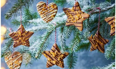 Polish gingerbread cookies with chocolate, poppy seed and candied peel recipe by Ren Behan