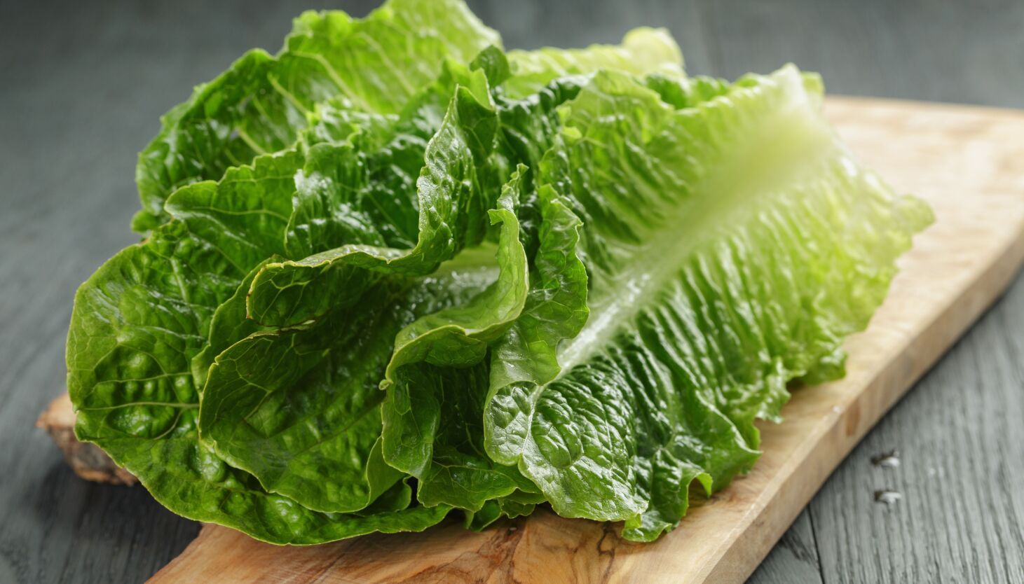 Is lettuce good for you? Do you know the healthiest…