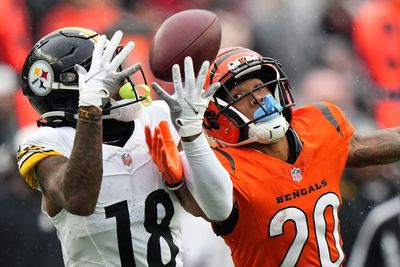 Bengals snap count takeaways from loss to Steelers