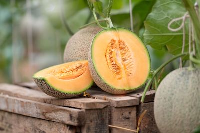 Cantaloupes recalled due to salmonella