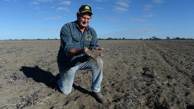 Digging in to improve Australia's poor soil health