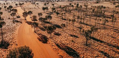 3 reasons why removing grazing animals from Australia's arid lands for carbon credits is a bad idea