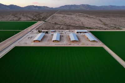 Tensions are bubbling up at thirsty Arizona alfalfa farms as foreign firms exploit unregulated water