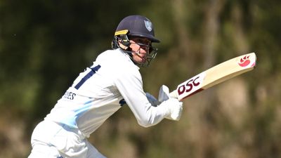 Davies, Henriques rescue NSW from Shield peril at SCG