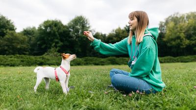 Most dog parents skip this vital recall exercise — here’s why you shouldn’t