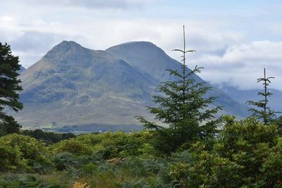 'Chronic' housing shortage in Scottish island to be tackled in new project