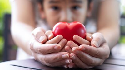 It’s Giving Tuesday: Charity Strategies the Wealthy Can Apply