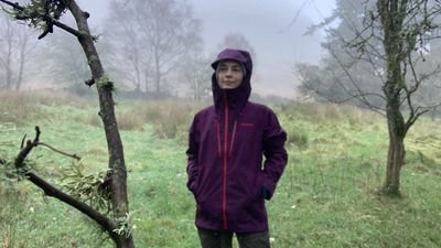 Patagonia Triolet Jacket (2023) review: a planet-friendly powerhouse for cold, wet adventures