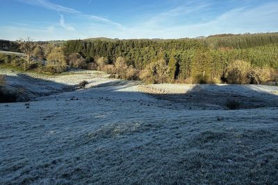 Overnight frosts to hit much of the UK, Met Office says