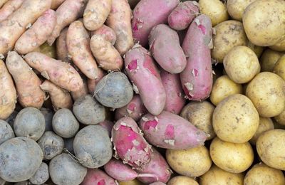 Which potato for which dish? How to choose the right spud for your recipe