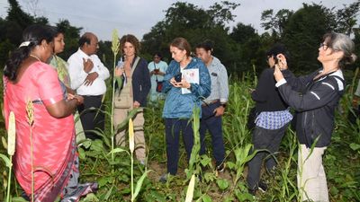International agricultural scientist group concludes two-day field visit in Chittoor