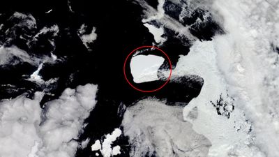 World's biggest iceberg 3 times the size of New York City is finally escaping Antarctica after being trapped for almost 40 years