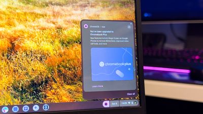 Still waiting for ChromeOS 119? You're not alone