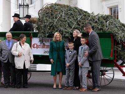 White House Christmas tree is blown over by wind